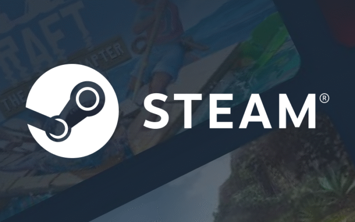 Steam Gift Card USA - Image 1